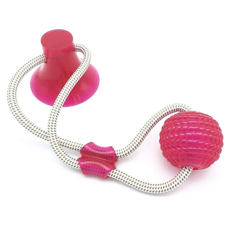 Interactive Suction Cup Dog Toy with TPR Ball