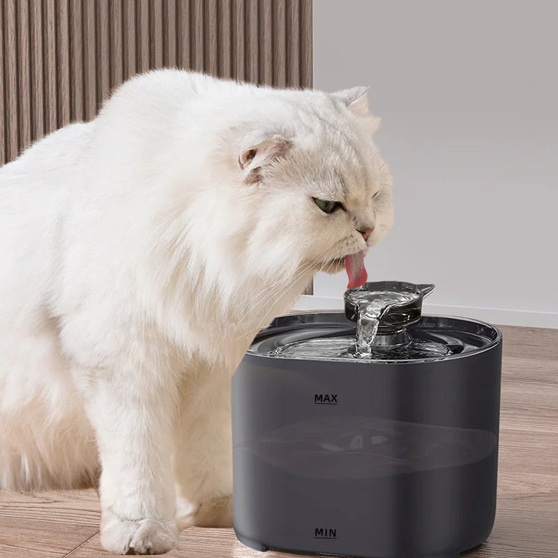 Cat Water Fountain