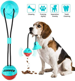 Multifunction Dog Chew Toy w/ Suction Cup