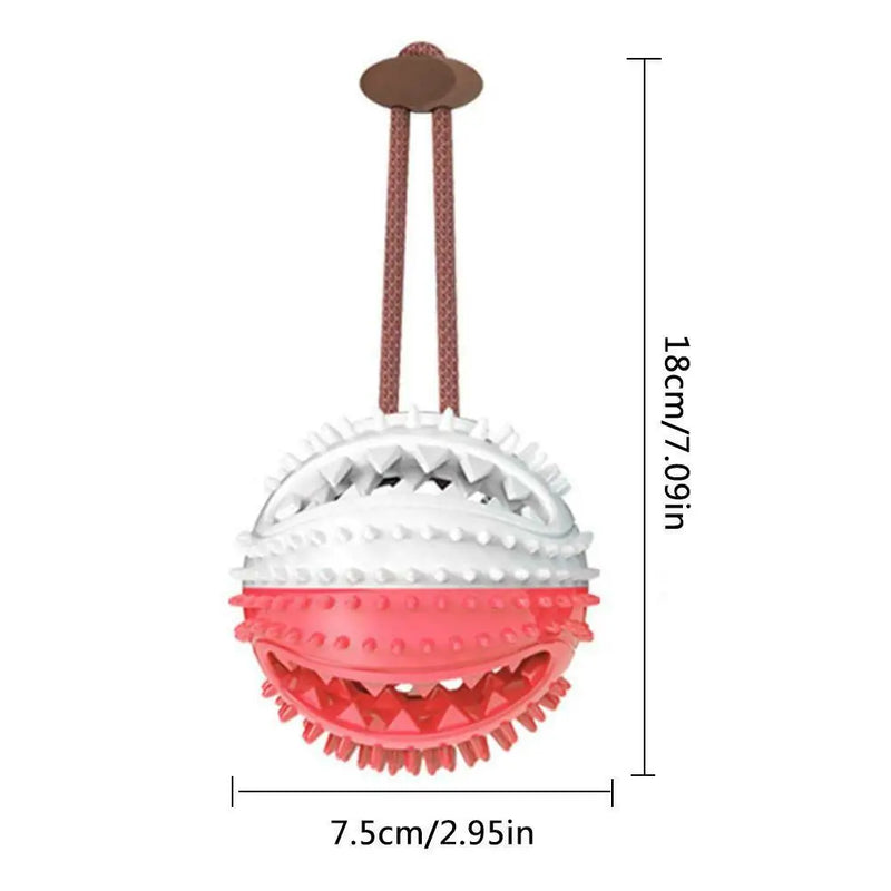 Multifunction Dog Chew Toy w/ Suction Cup